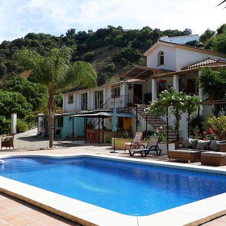 Coín Vegan Guesthouse Finca Pereila מראה חיצוני תמונה