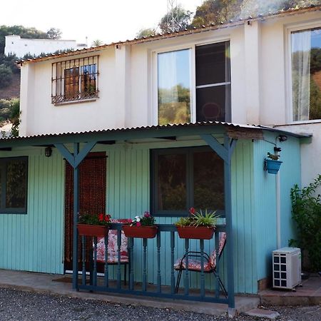 Coín Vegan Guesthouse Finca Pereila מראה חיצוני תמונה