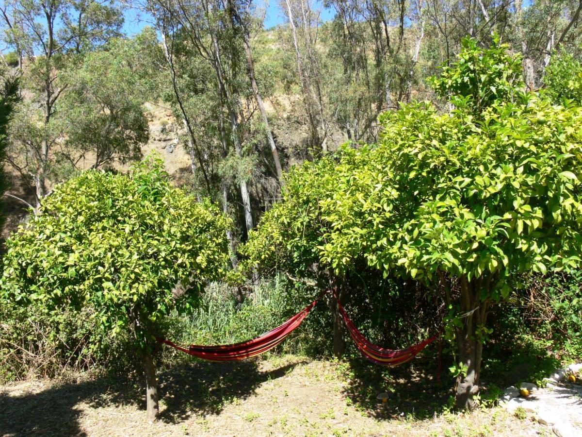 Coín Vegan Guesthouse Finca Pereila מראה חיצוני תמונה