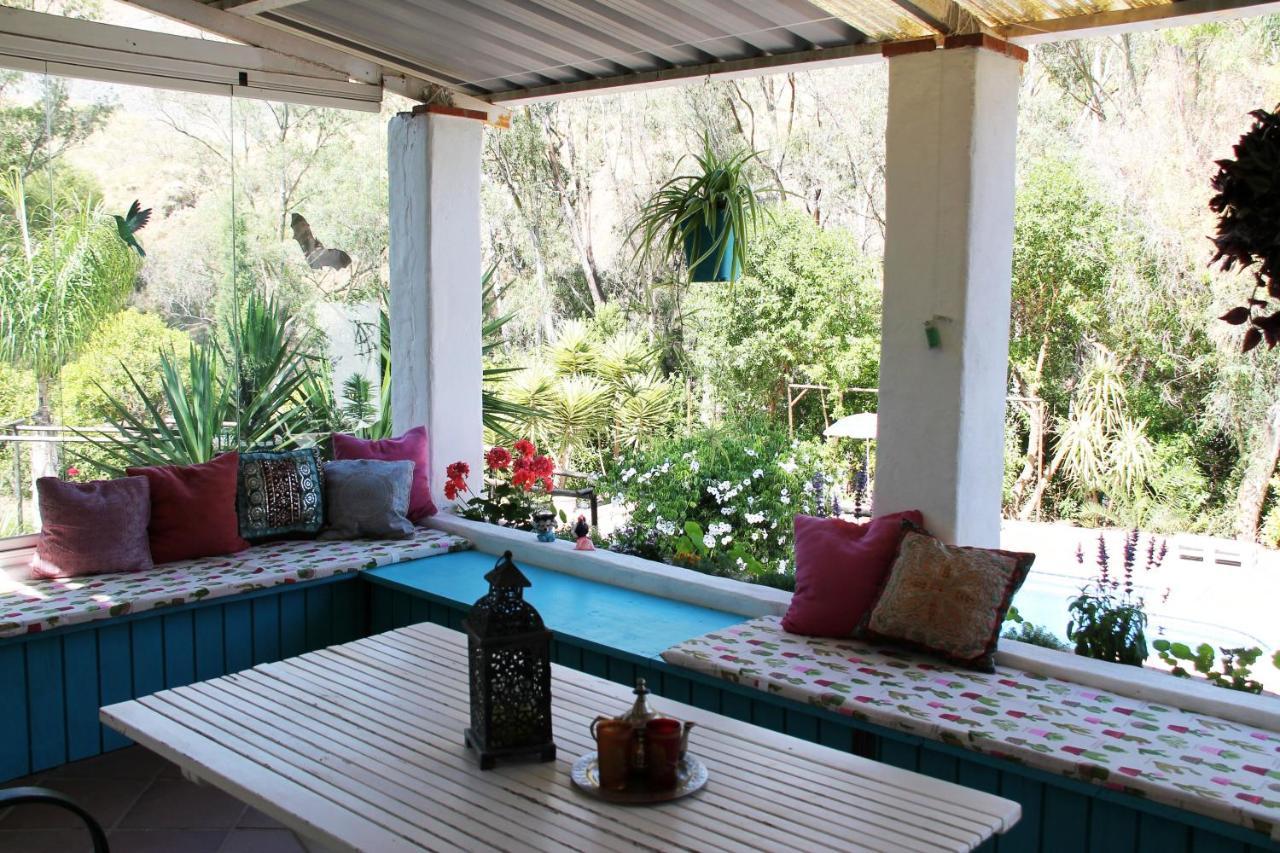 Coín Vegan Guesthouse Finca Pereila מראה חיצוני תמונה