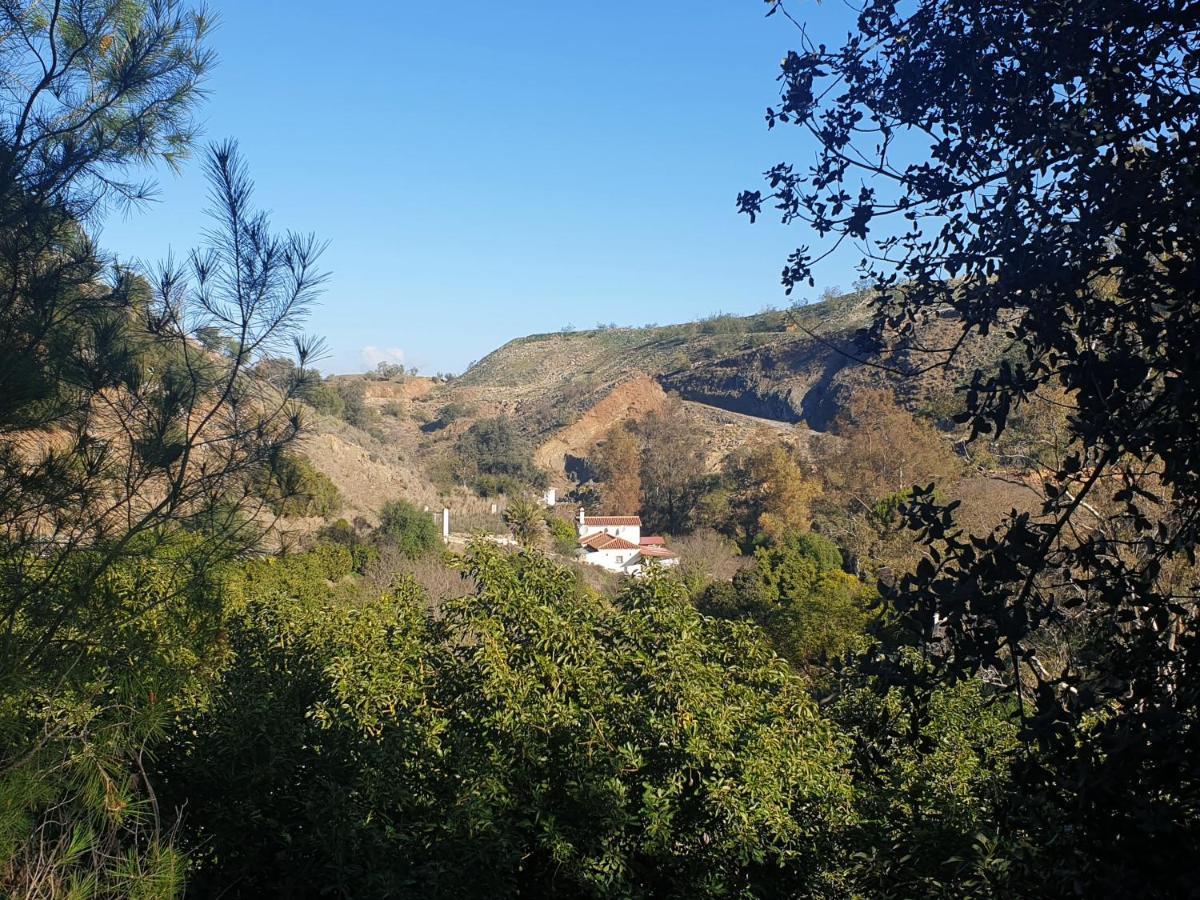 Coín Vegan Guesthouse Finca Pereila מראה חיצוני תמונה