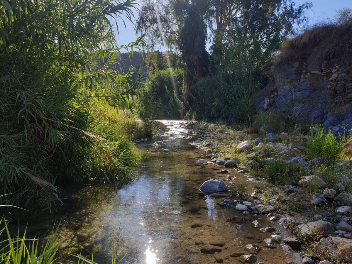 Coín Vegan Guesthouse Finca Pereila מראה חיצוני תמונה
