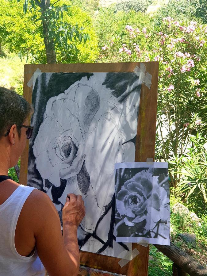 Coín Vegan Guesthouse Finca Pereila מראה חיצוני תמונה