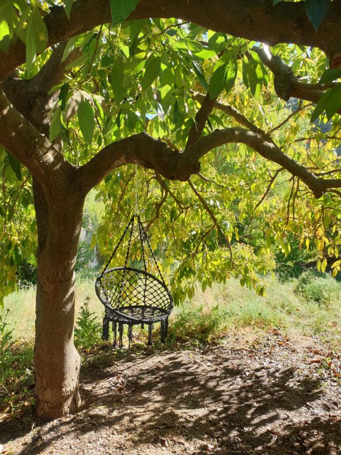Coín Vegan Guesthouse Finca Pereila מראה חיצוני תמונה